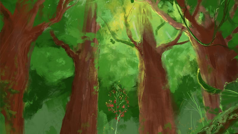 Values Sanctuary Blue Mountains Kingdom Partnerships