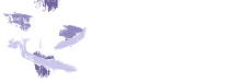 Sanctuary Blue Mountains