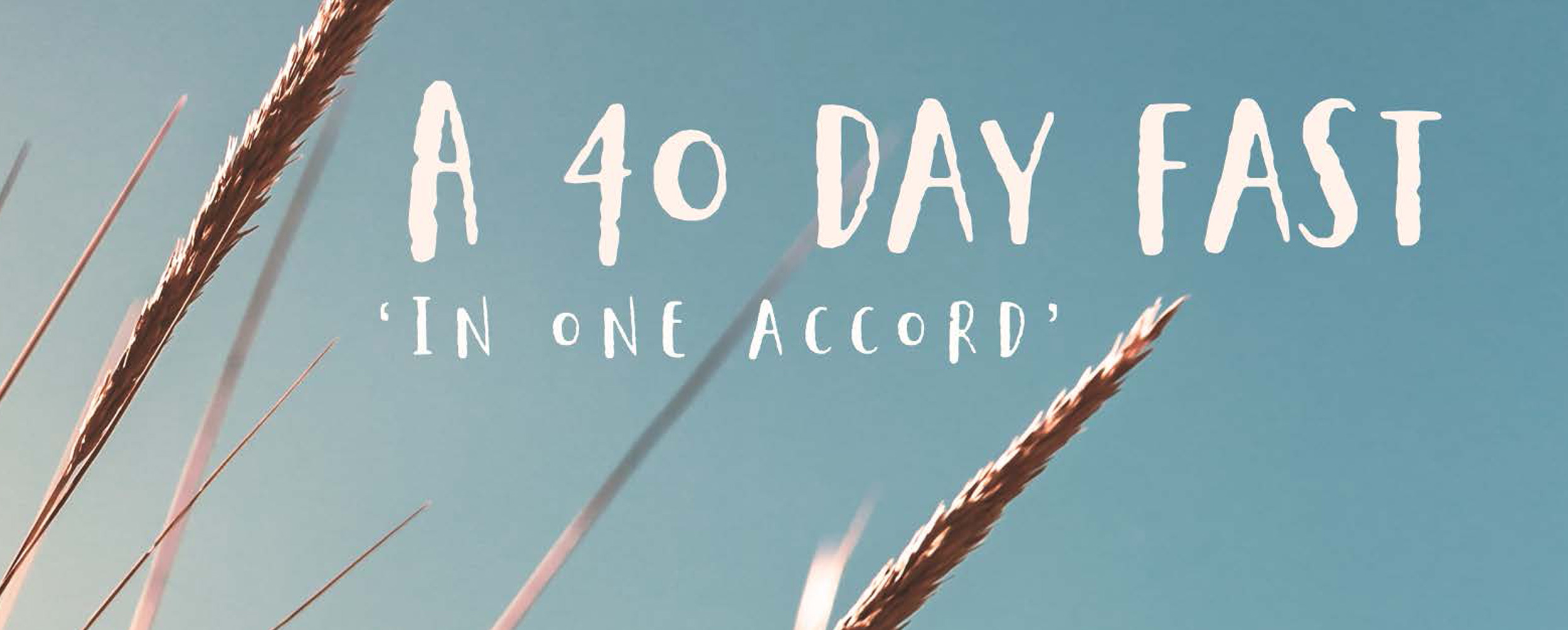 The Well 40 Day Fast Banner